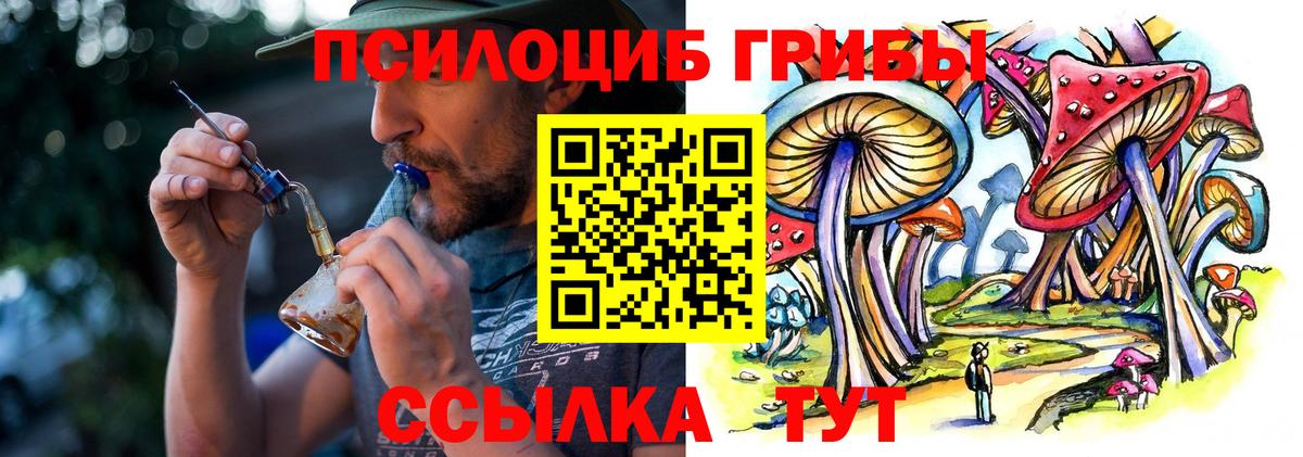 Кирово-Чепецк  Псилоцибиновые грибы мухоморы  Вход с VPN 
