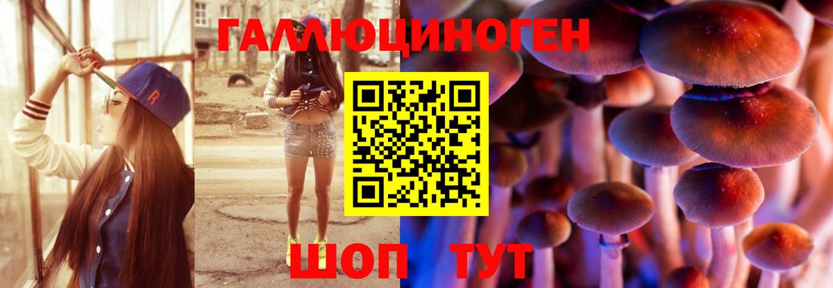 Галлюциногенные грибы прущие грибы Кирово-Чепецк
